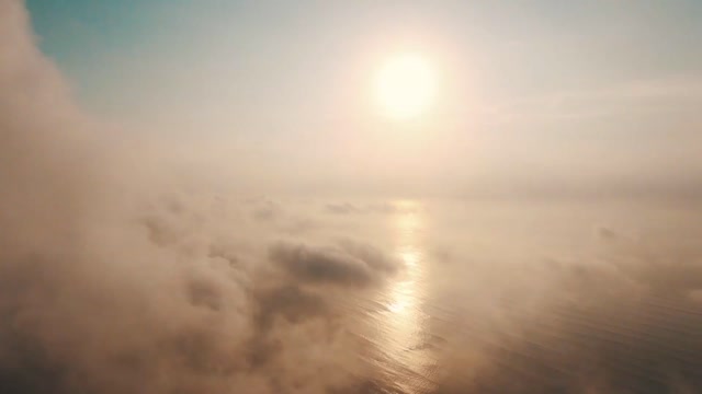 一路花开到海