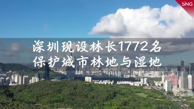 深圳1772名林长 守护城市一草一木