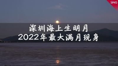 2022年最大满月现身 深圳海面升起超级月亮