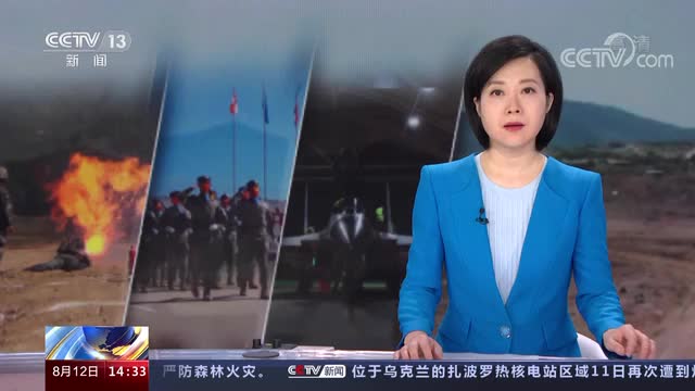 中国第20批赴黎维和部队全体官兵凯旋