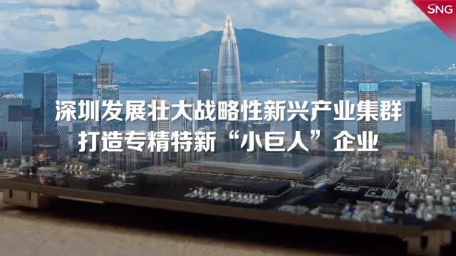 深圳发展半导体与智能传感器产业集群
