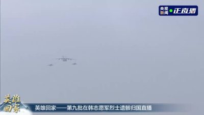 英雄回家！搭载第九批在韩志愿军烈士遗骸的运-20专机抵达沈阳