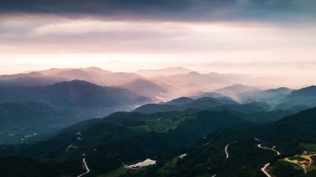 青花瓷：一束青莲 一路清廉| “廉润南粤”系列公益广告展播