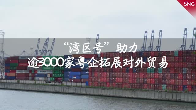 “湾区号”助力逾3000家粤企拓展对外贸易