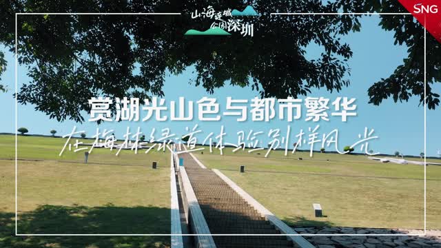 绿意“圳”好 在梅林绿道体验别样风光