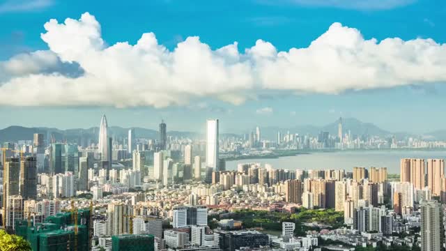 弘扬企业家精神 擦亮深圳“土特产”招牌