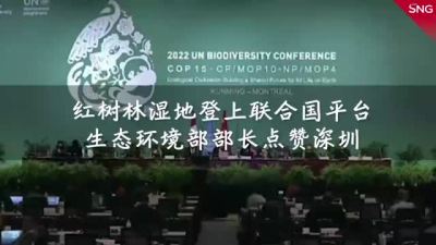 深圳红树林湿地登上联合国平台
