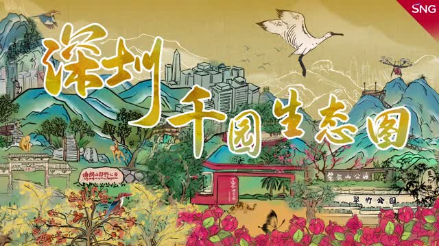 深圳千园生态图