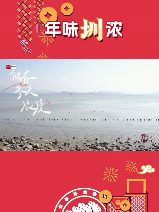 读特第一线 | 年味圳浓·一起感受冬日浪漫