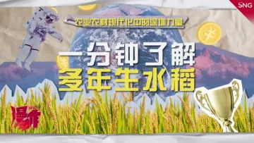 农业农村现代化中的深圳力量 | 一分钟了解多年生水稻