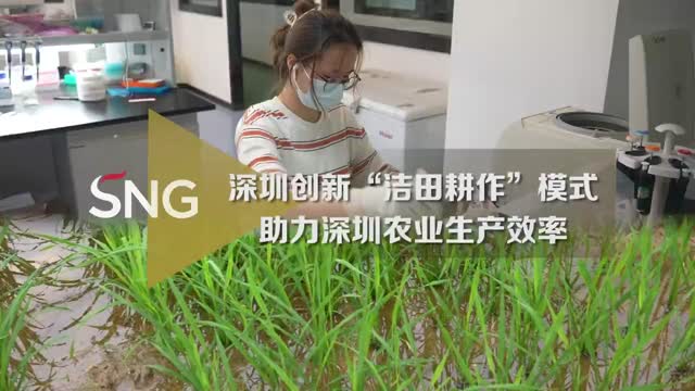 深圳研究院创新洁田耕作模式提高生产效率