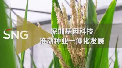 深圳基因科技推动种业一体化发展
