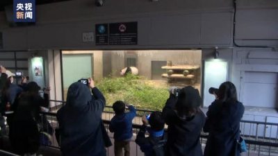 旅日大熊猫“香香”最后一天在日见游客 民众依依惜别送祝福