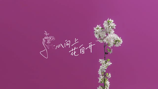 心向上 花自开