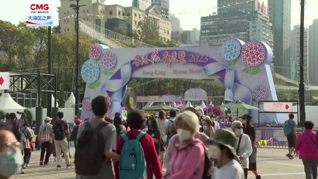 视频 | 60秒带你玩转香港花卉展览