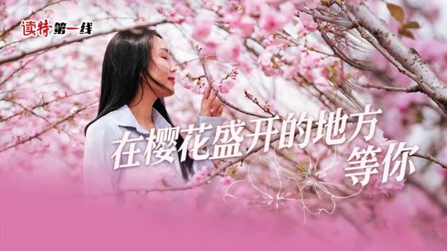 读特第一线 | 在樱花盛开的地方等你