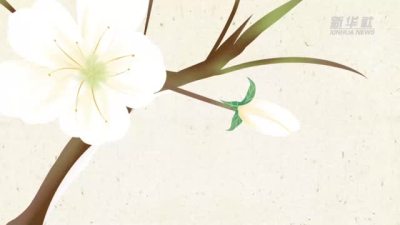 3月21日春分：春已过半，桃红柳绿燕归来