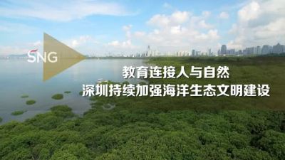 深圳这座公园用教育建起海洋生态文明建设的桥梁