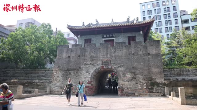 文博会南头古城分会场将举办宠物友好街区系列活动