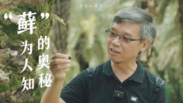 深圳有位苔藓叔，一起跟他探索“藓”为人知的奥秘