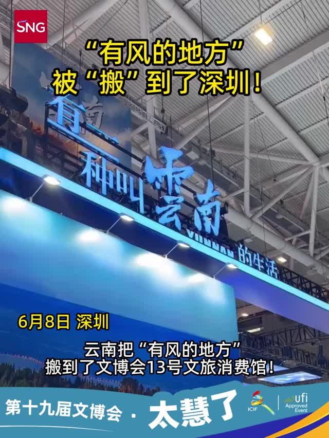 “有风的地方”被“搬”到了深圳！