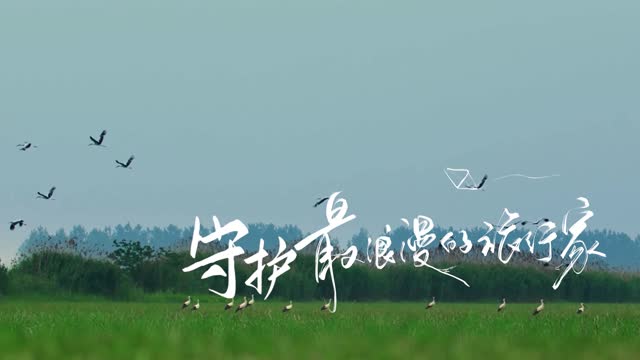 守护最浪漫的旅行家