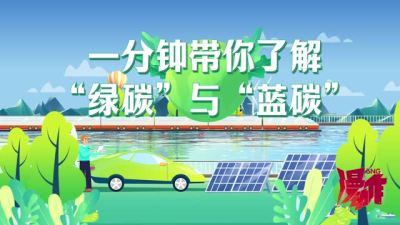 在深圳解锁N种低碳生活方式