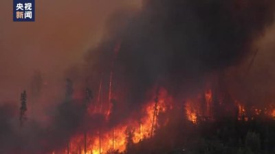加拿大林火持续蔓延 气象专家担忧温室效应下林火将更加频繁