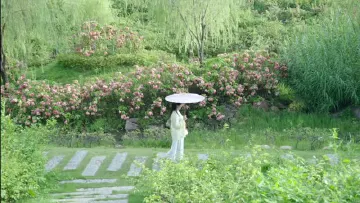 风花雪月，人间烟火！8月18日尽在深圳！