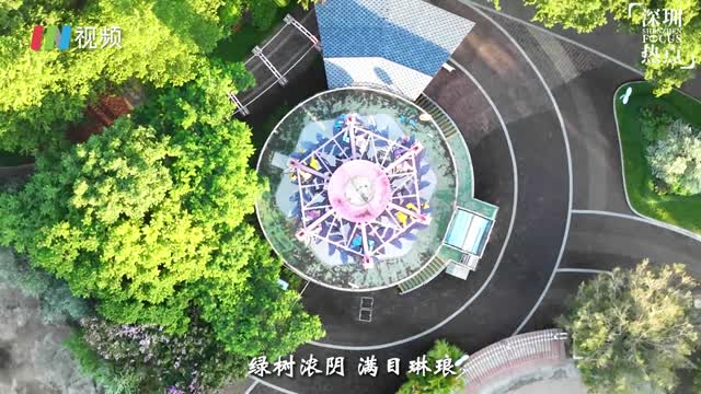IN视频｜今日深圳：儿童乐园，笑声摇落一地
