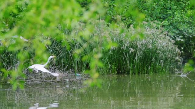@深圳人，爱国卫生，从我做起！