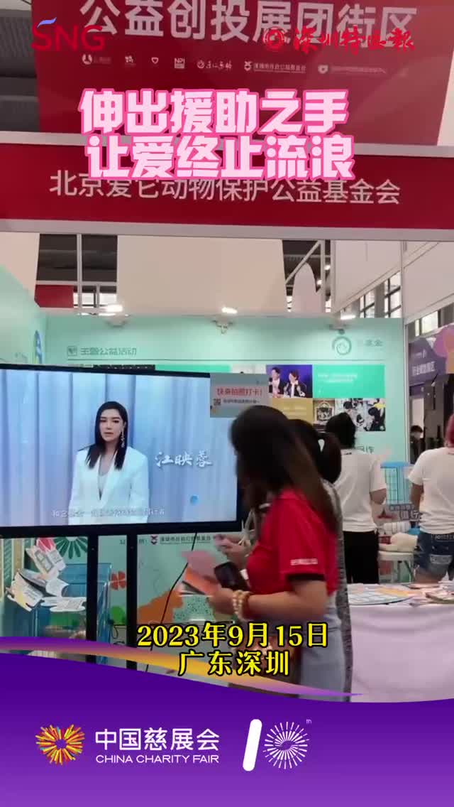 伸出援助之手，让爱终止流浪