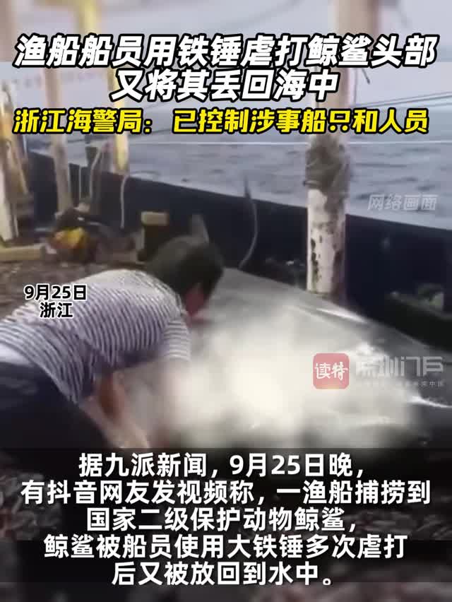 渔船船员用铁锤虐打鲸鲨头部又将其丢回海中 浙江海警局：已控制涉事船只和人员 