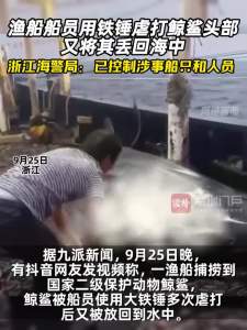 渔船船员用铁锤虐打鲸鲨头部又将其丢回海中 浙江海警局：已控制涉事船只和人员 