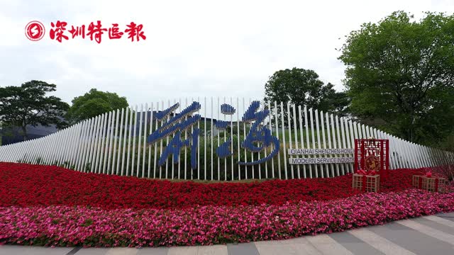 重磅！《前海深港现代服务业合作区总体发展规划》发布
