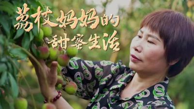 榜样的力量丨广东茂名“荔枝妈妈”：用农创“荔”量助力乡村振兴