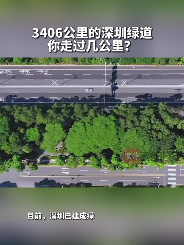3406公里的深圳绿道，你走过几公里？| “颗粒度”里看深圳