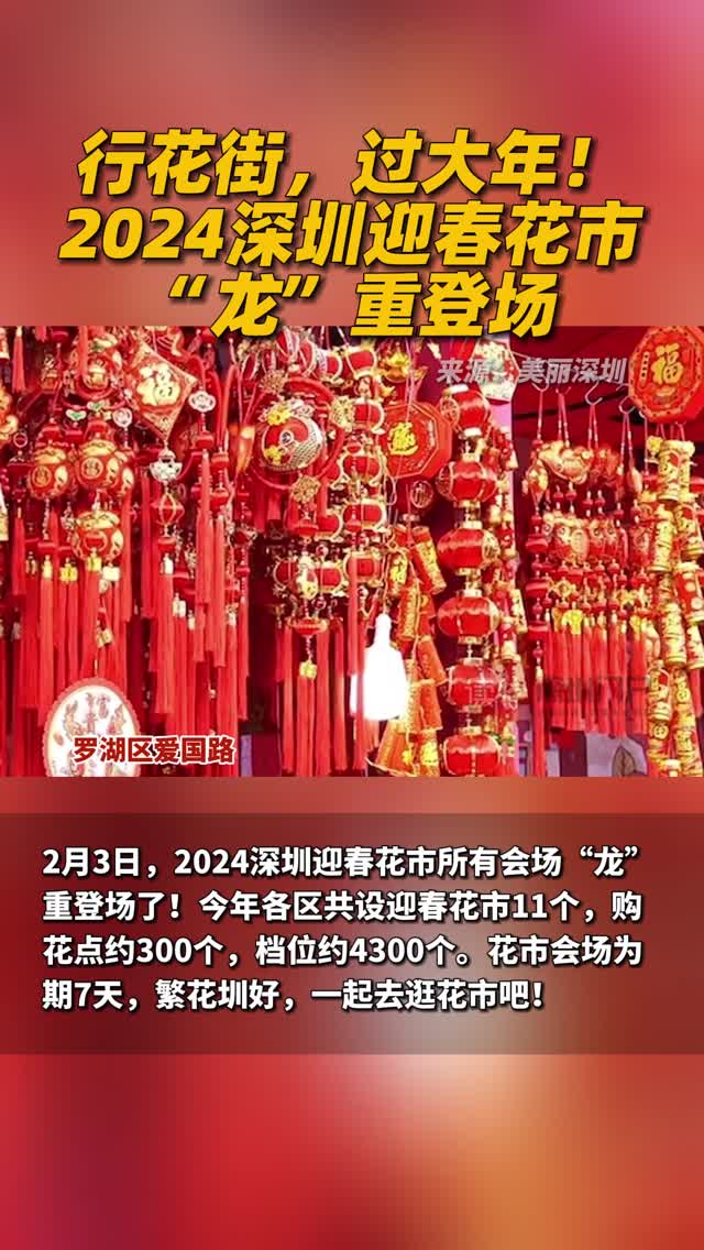 行花街，过大年！2024深圳迎春花市“龙”重登场