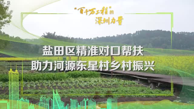 “百千万工程”的深圳力量｜河源东源县以文旅市场助力乡村振兴