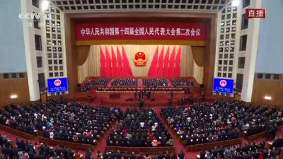 十四届全国人大二次会议举行第二次全体会议 习近平等党和国家领导人出席
