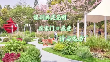这就是深圳｜深圳共建花园 在家门口感受“诗与远方”