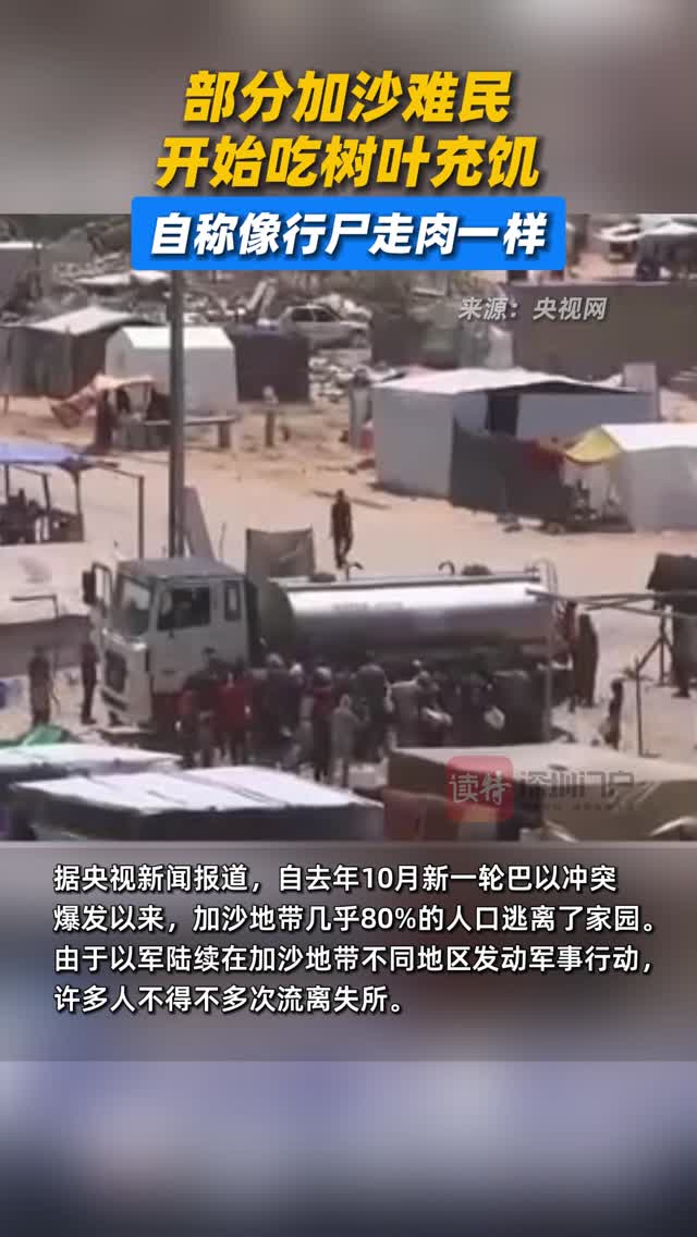 部分加沙难民开始吃树叶充饥，自称像行尸走肉一样