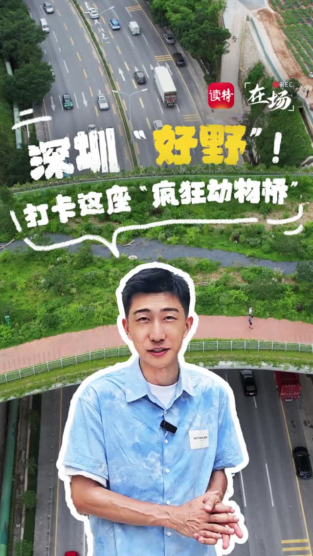 在场 | 深圳“好野”！打卡这座“疯狂动物桥”