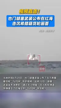 视频直击！也门胡塞武装公布在红海击沉希腊籍货轮画面