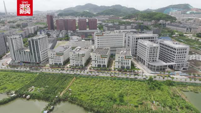深中通道实现“半小时生活圈”