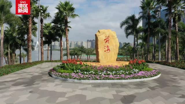 深化改革优化深圳创业就业环境