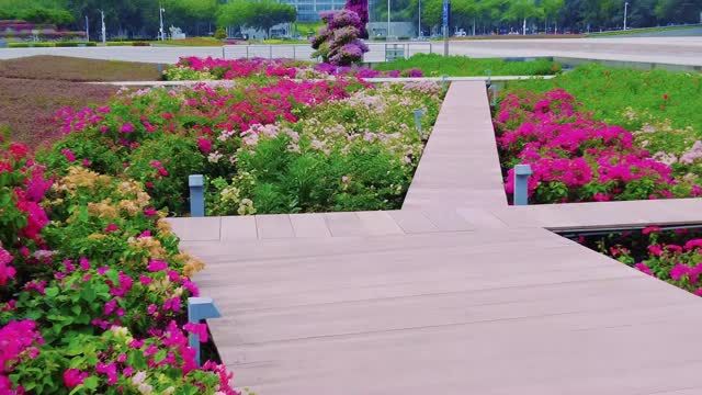 在宝安，邂逅七夕的极致浪漫