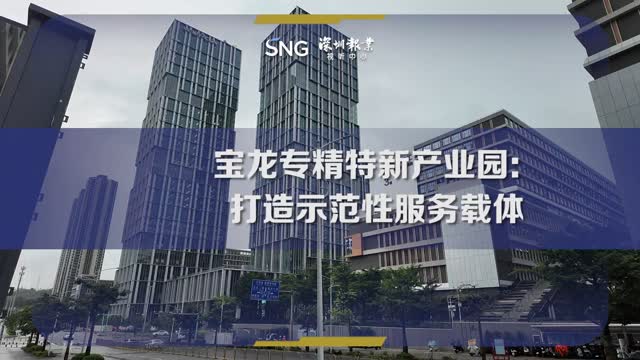 深圳宝龙专精特新产业园持续提升企业服务质效
