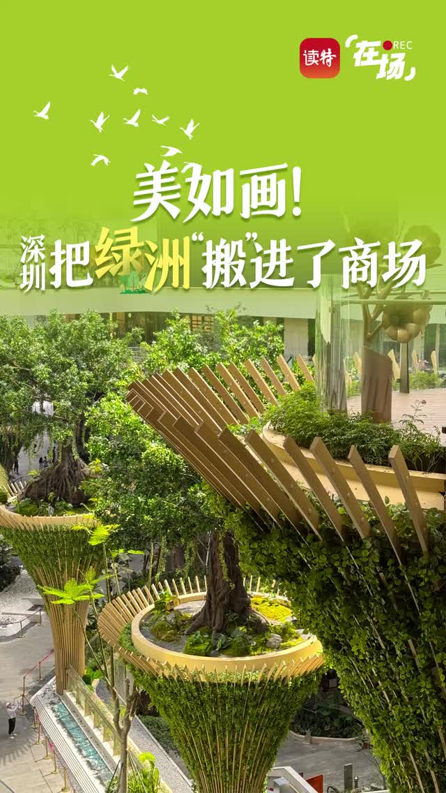 在场 | 美如画！深圳把绿洲“搬”进了商场！