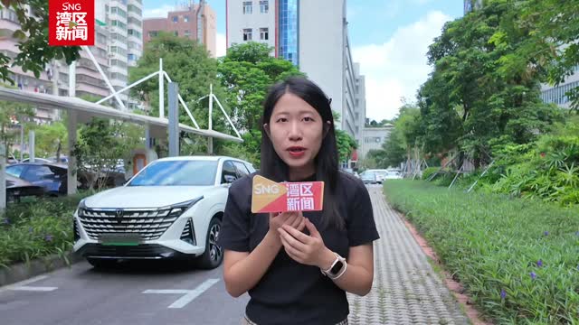 深圳市公共智慧停车平台上线